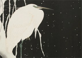 Dekoratív Fotótapéta Hálószobába Téli madár 208x146 Ragasztó