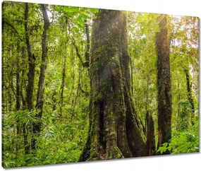 Vászonkép 80x60 Gyalogtúra