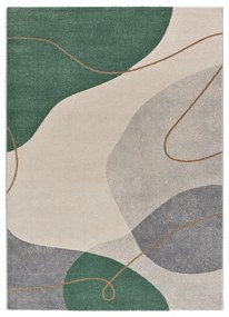 Zöld szőnyeg 120x170 cm Edesa – Universal