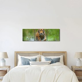 Kép - Futó tigris (órával) (90x30 cm)