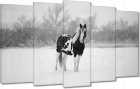 Vászonkép 100x60 Ló Fekete-fehér poszter