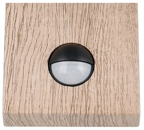 Fali kültéri lámpa (magasság 33 cm) Sambesi – Trio