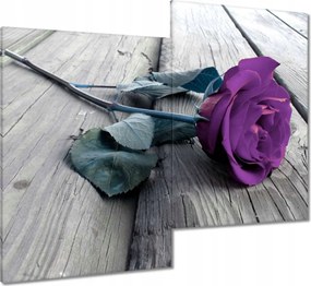 Vászonkép 80x70 Rózsa a szerelmesek napjára