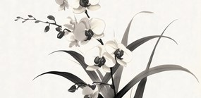 Poszter 91,3x44,5cm Orchidea