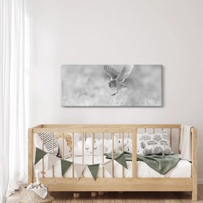 Kép - Bagoly a mezőn (120x50 cm)