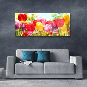 Akrilkép Tulipán virágok Plant 120x60 cm