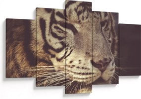 Tigris képe (150x105 cm)