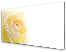 Akrilüveg fotó Rózsa Virág növény természet 120x60 cm