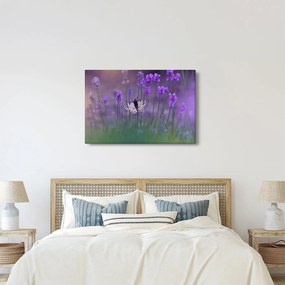 Kép - Pillangó a levendulán (90x60 cm)