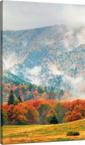 Vászonkép Hegy Erdők Rétek Felhők Természet 70x120 cm