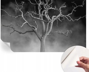 Modern öntapadós fotótapéta Mosható Ködös fa 416x254 cm