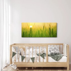 Kép - Mező gabonával (120x50 cm)