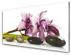 Akril üveg kép Stones virág növény 140x70 cm