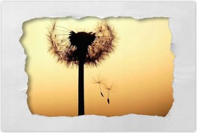 Poszterek 120x80 Pitypang Virág Virágok