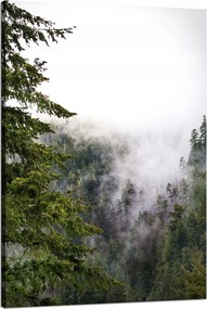 Vászonkép Természet Ködös fák 80x120 cm