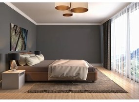 Mennyezeti lámpa SPACE 3xE27/60W/230V bézs/arany