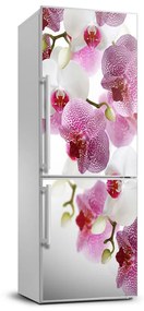 Hűtő matrica Orchidea FridgeStick-70x190-f-107506962