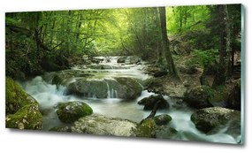 Üvegfotó Vízesés az erdőben osh-65985516