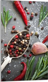 Üveg Vágódeszka 30x52 Fűszerek a Konyhába