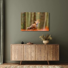 Kép - Róka (90x60 cm)