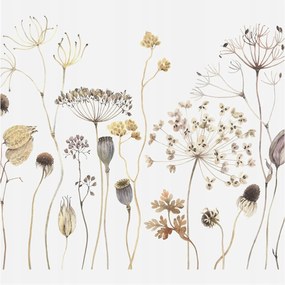 Dekoratív Fotótapéta Hálószobába Mezei virágok 250x250 Ragasztó