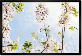 Poszterek keretben 60x40 Virágok