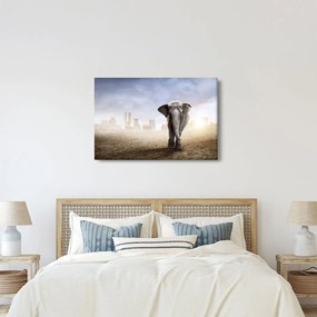 Kép - Elefánt egy nagyvárosban (90x60 cm)