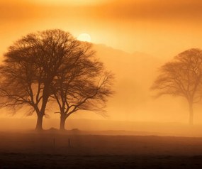 Poszter 60x50cm Alkonyat a tisztások felett