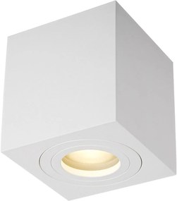 Zuma Line Quardip mennyezeti lámpa 1x50 W fehér ACGU10-160-N