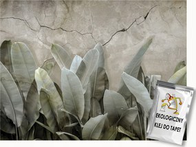 Fotótapéta Flizelina Fal Beton Levelek Zöld Banán 250x175 ragasztó