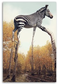 Gario Vászonkép Zebra és nyírfa lábak - Patryk Andrzejewski Méret: 70 x 100 cm