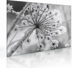 Üveg kép - Virág télen (70x50 cm)