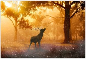 Poszterek 185x125 Szarvas az erdőben