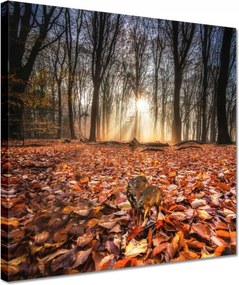 Vászonkép 30x30 Kihalás fenyegeti