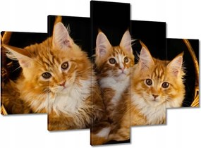 Vászonkép 150x105 Csodaszép vörös cicák