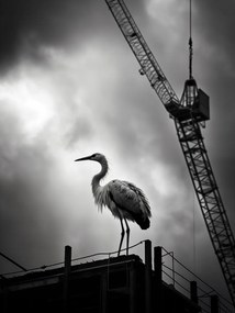 Poszter 15x20cm Magasan a horizont felett