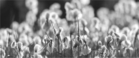 Kép - Nyári rét (120x50 cm)
