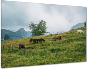 Festmények 100x70 Tájképek Kilátások Tájképek