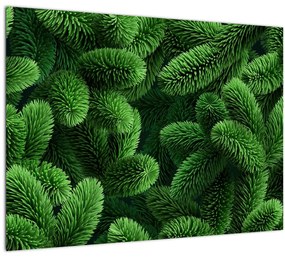 Kép - Tűlevelű gallyak (70x50 cm)