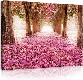 Vászonkép 70x50 Virágos sikátor rózsaszín virágok fák sikátor tavasz virágzás