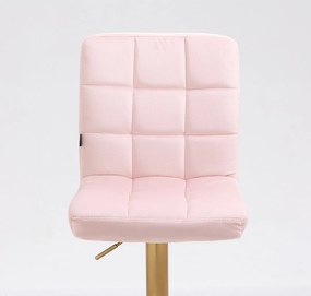 HR7009W Púderrózsaszín modern velúr szék arany lábbal