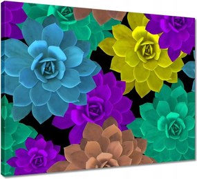 Vászonkép 50x40 Színes virágok Virágok