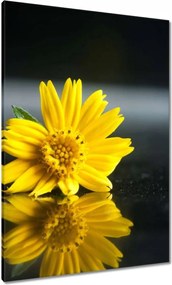 Vászonkép 70x100 Sárga virág