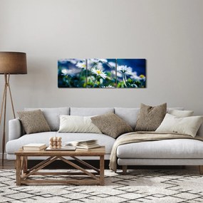 Százszorszépek képe (órával) (90x30 cm)