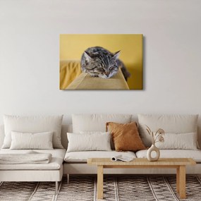 Macska a kanapén képe (90x60 cm)