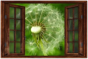 Poszterek 120x80 Pitypang Virág Virágok