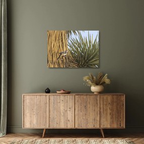 Kép - Ökörszem (üvegen) (70x50 cm)