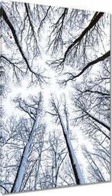 Vászonkép 80x120 Fa Kilátás