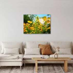 Sárga virágok képe (70x50 cm)