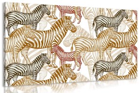 Kép a zebrák birodalma